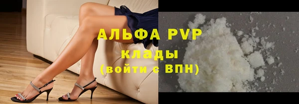стаф Горняк