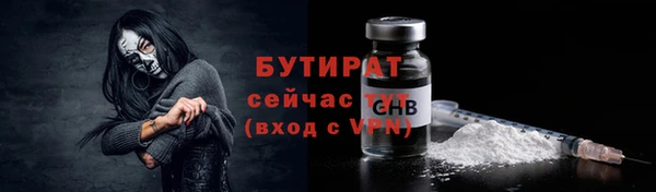стаф Горняк