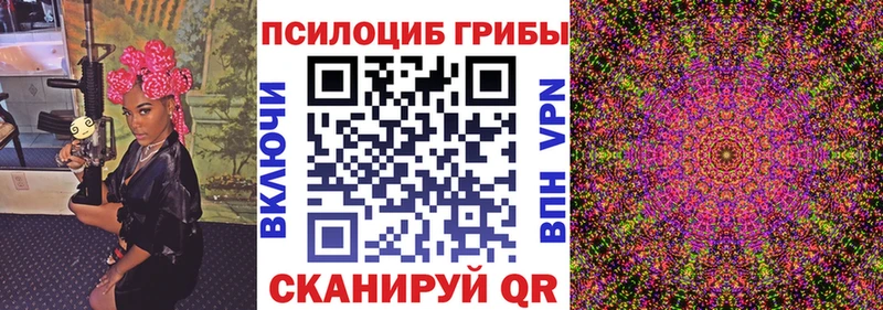 Купить где  Нижнеудинск  Галлюциногенные грибы Psilocybe 